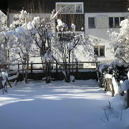 Hostattstrasse 20 By Interhome アパート